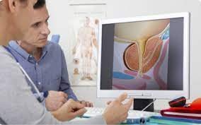 Department of Urology